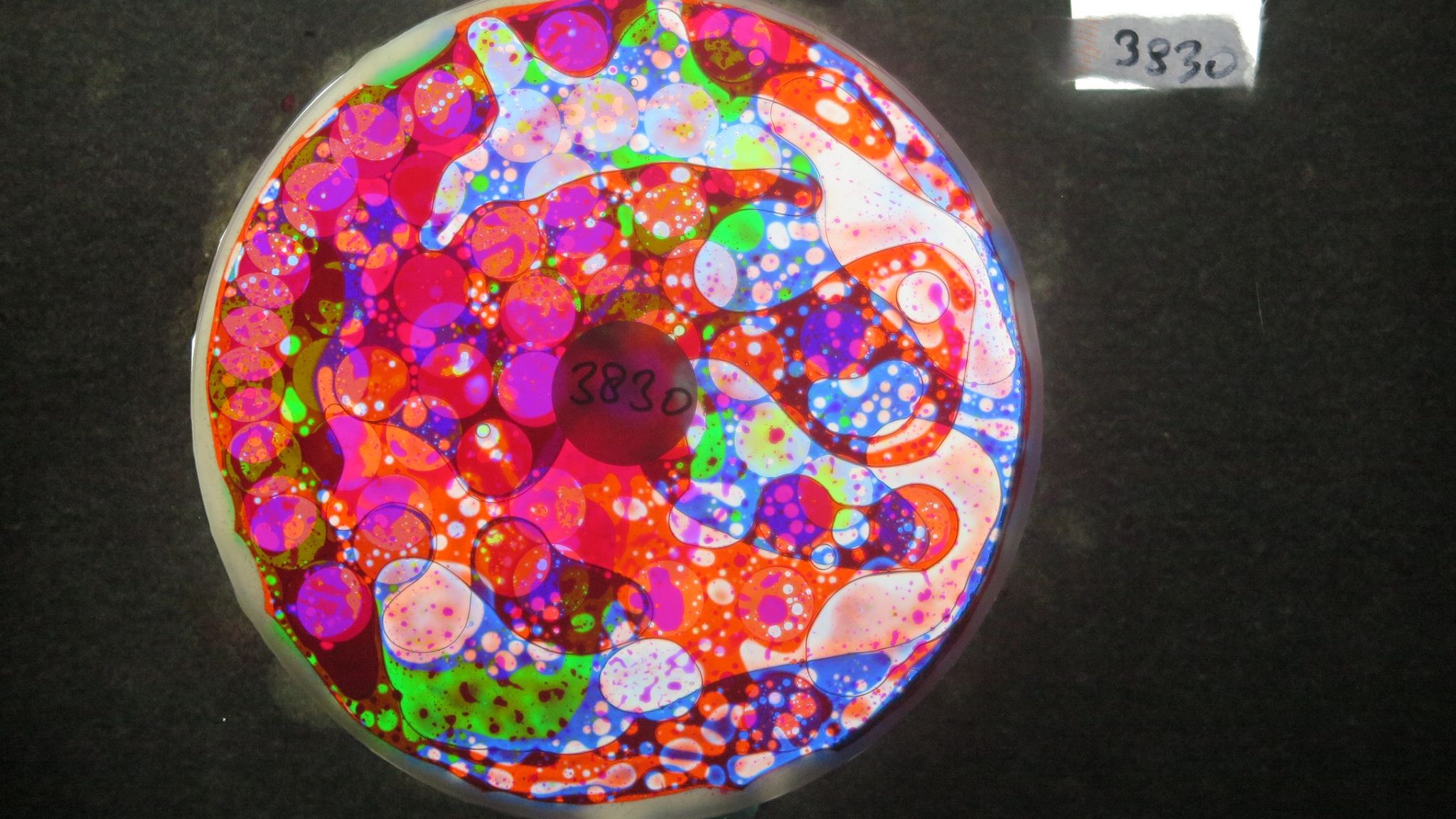 BV3830 bubble vision oil wheel